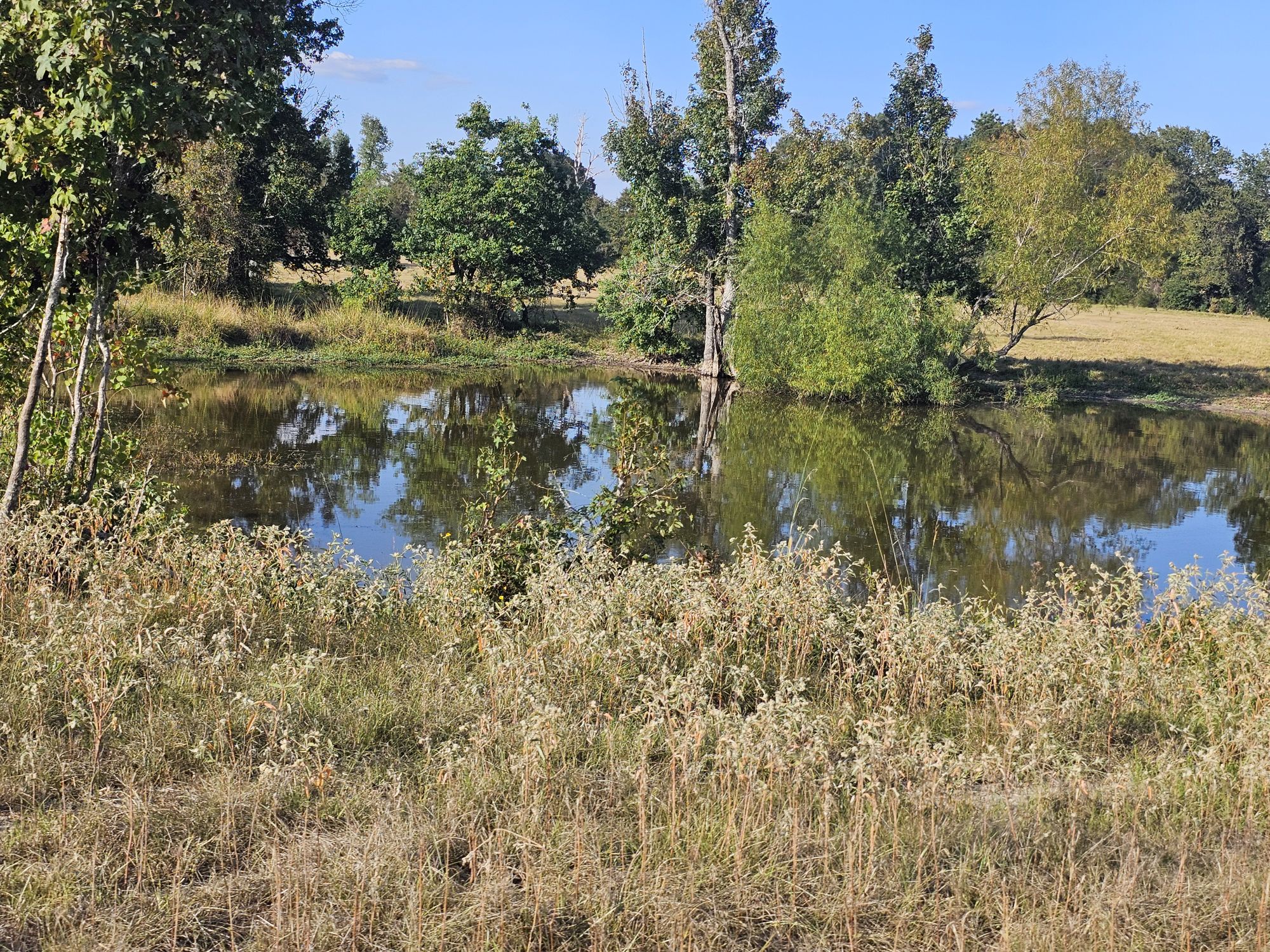 Photo of small pond