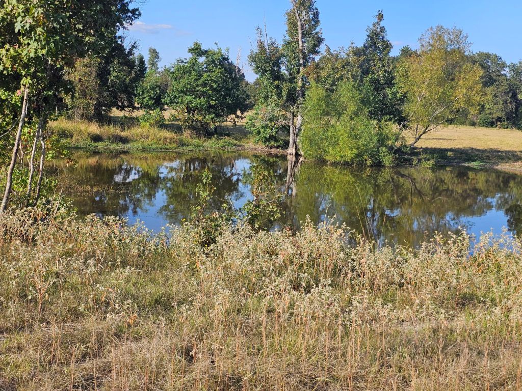 Photo of small pond
